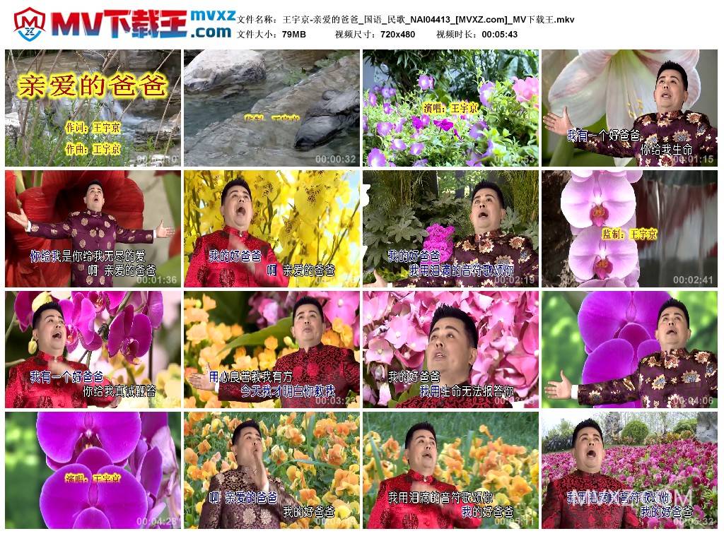 王宇京-亲爱的爸爸_国语_民歌_NAI04413